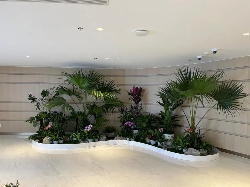 揭秘余姚绿植出租方案，让绿植扮靓你的世界